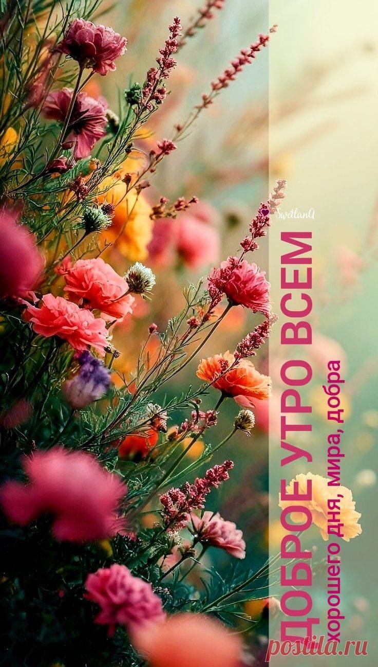 Доброе утро