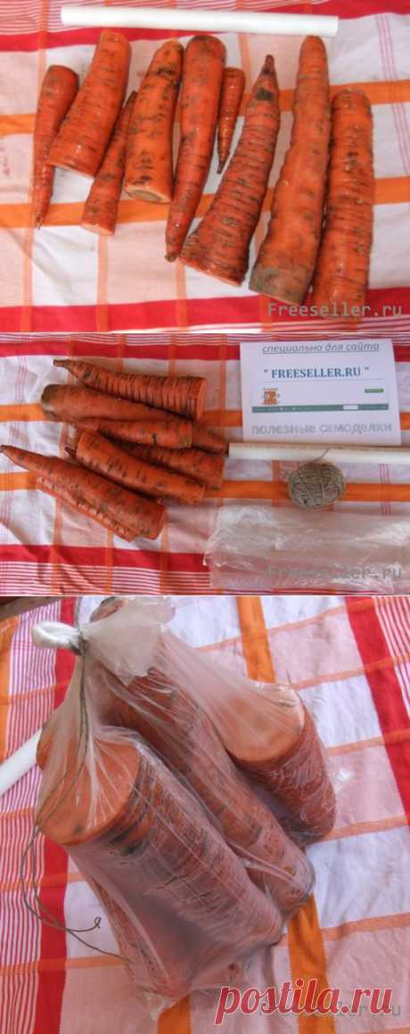 Как сохранить морковь до следующего лета
