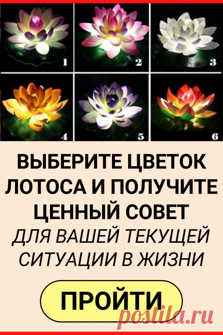 Выберите цветок лотоса и получите ценный совет, для вашей текущей ситуации в жизни
#тест #интересный_тест #психология #самопознание #саморазвитие #психологический_тест #интересные_тесты