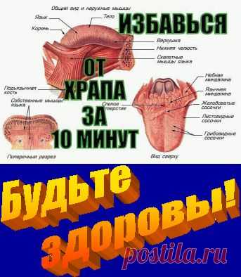 КАК ЗА 10 МИНУТ ИЗБАВИТЬСЯ ОТ ХРАПА НАДОЛГО! | Познавательный сайт ,,1000 мелочей"