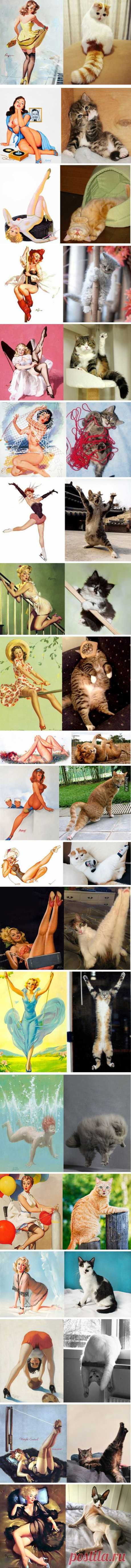 Huru.ru :: Котики в образе пинап-открыток (20 пара фотографий)