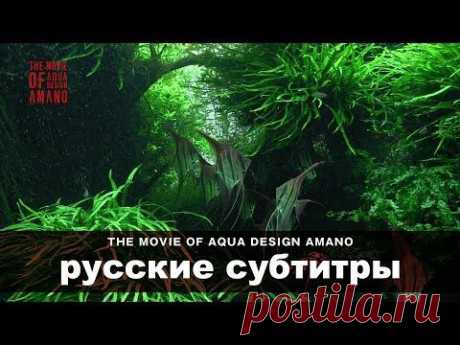 [ADAview] THE MOVIE OF AQUA DESIGN AMANO [side:concept] - русские субтитры - YouTube