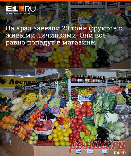 На Урал завезли 20 тонн фруктов с живыми личинками: почему они попадут в магазины - 22 июня 2023 - e1.ru