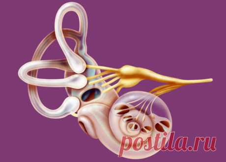 Тренировка вестибулярного аппарата замедляет старение - ПолонСил.ру - социальная сеть здоровья - 16 сентября - 43968970776 - Медиаплатформа МирТесен Удивительно, но процесс старения нашего организма напрямую зависит от работы вестибулярного аппарата. Если вы не можете долго удерживать равновесие, то это признак увядания. Почему это происходит и как при помощи гимнастики тренировать вестибулярный аппарат, а значит остановить процессы старения - 16 сентября - 43968970776 - Медиаплатформа МирТесен