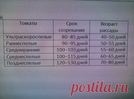 ТАБЛИЦА РАСЧЕТОВ СРОКА ПОСАДКИ ТОМАТОВ.
Высчитываем сроки посадки рассады томатов. Зная возраст рассады. можно самим легко высчитать дату посадки. В зависимости, в каких числах расчитываете высаживать в теплицу или ОГ, отнимаем возраст рассады и еще 5 дней на всходы, у Вас получиться дата посадки рассады.ТАБЛИЦА РАСЧЕТА СРОКОВ ПОСАДКИ РАССАДЫ ТОМАТОВ