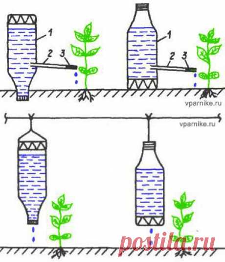 Простые системы капельного полива растений из пластиковых бутылок и не только | vparnike.ru