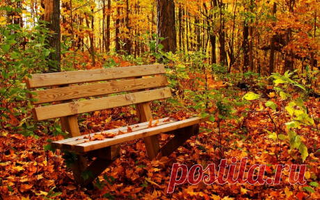 Осень, листопад, парк, скамья