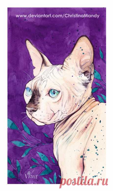 Little Sphynx by ChristinaMandy on DeviantArt