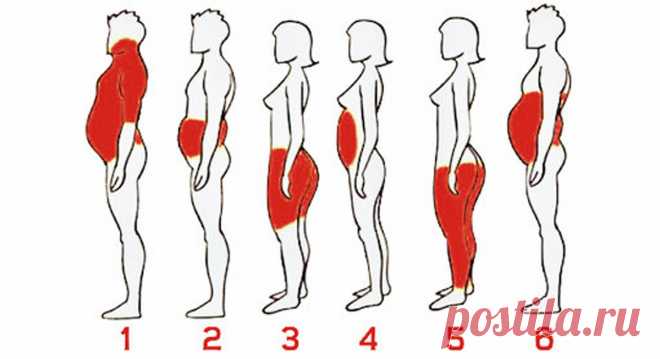Что местоположение жира на твоё теле говорит о тебе — и что с этим делать