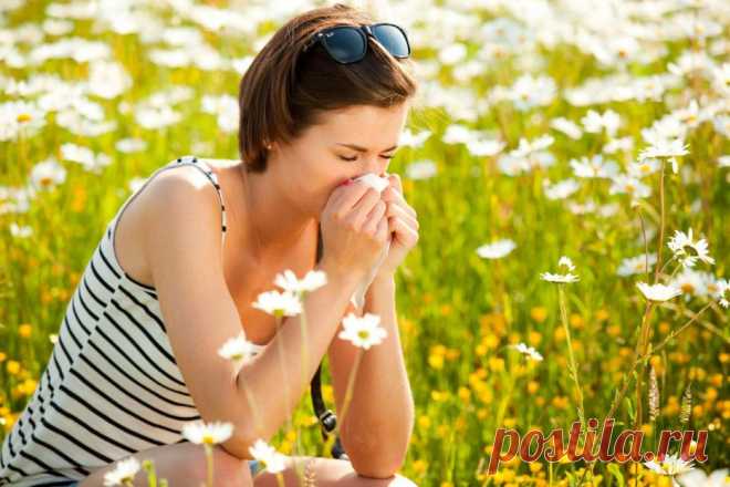 Поллиноз  или пыльцевая аллергия - симптомы и лечение &raquo; Женский Мир