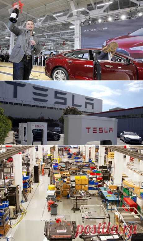 Уважаемая Tesla, неужели вы будете вредить экологии ради нового завода?