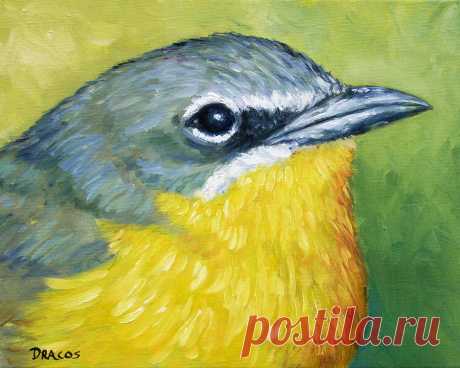 Yellow-Breasted Chit Wild Bird by Dottie Dracos Yellow-Breasted Chit Wild Bird Painting by Dottie Dracos