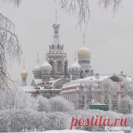 Зимняя сказка в Санкт-Петербурге.
