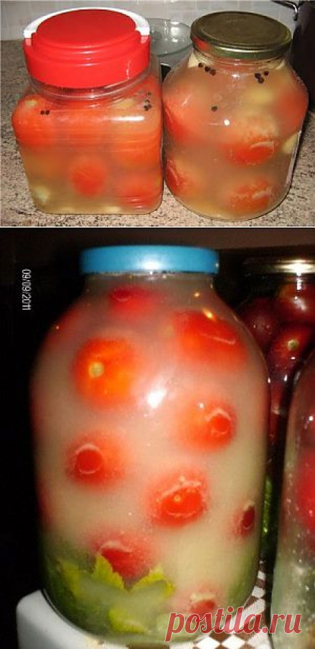 Квашеные соленые помидоры – такие же вкусные как бочковые! ~ ИНТЕРЕСНЫЙ БЛОГ