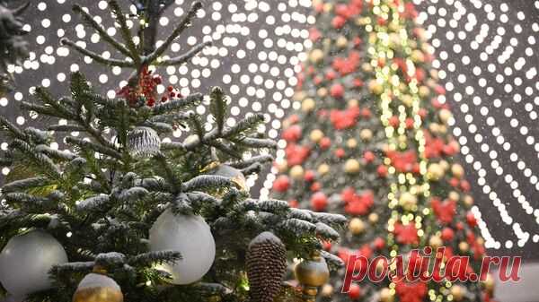 Нижегородские полицейские помогли туристам в ночь на Рождество