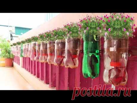 Amazing Plastic Bottle Vertical Garden Ideas, Plastic Bottles on Walls