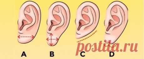 Характер человека можно определить по форме мочки уха