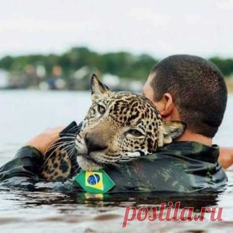 Солдат бразильской армии со спасенным от наводнения ягуаром