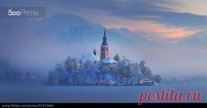 Безвозмездная лицензии на премиум фотографии | 500px премьер