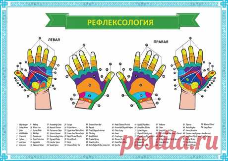 Су-Джок-терапия (скорая помощь на ладони!). Тайная сила мизинца: жму и удивляюсь.