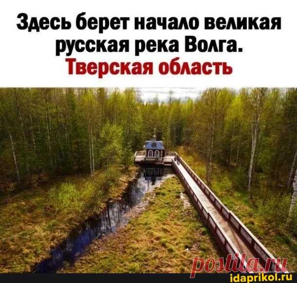 Здесь берет. Исток Волги Тверская область. Исток реки Волга. Исток Волги Тверь. Тверская область начало Волги.