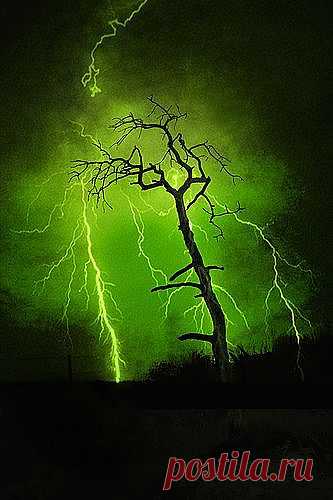 Green Lightning | LITTLE TOO CREEPY FOR ME