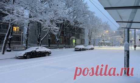 Ночью в Таллинне выпал снег. Этот снегопад станет первым пробным камнем для столичной мэрии, обещавшей отличную коммунальную услугу - Delfi RUS
