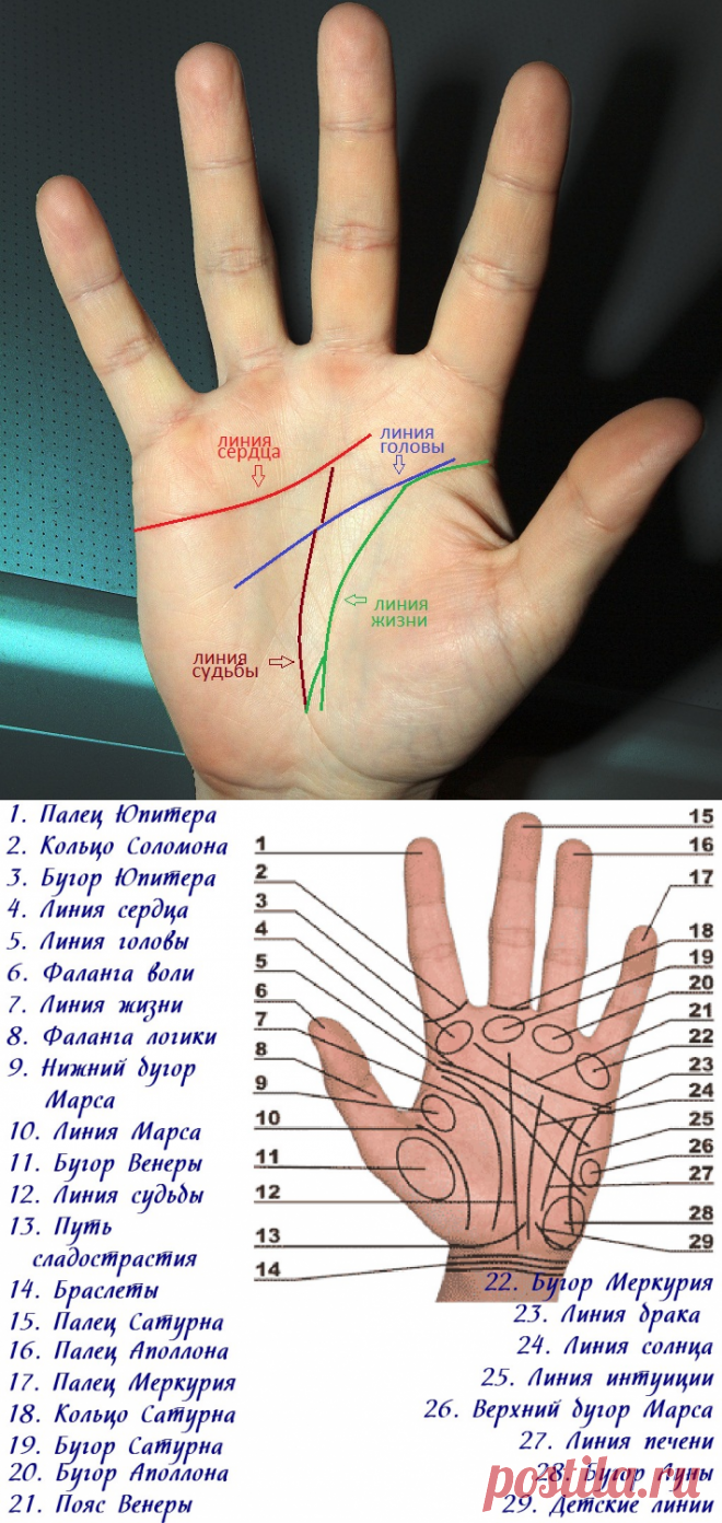 Определить заболевание по рукам
