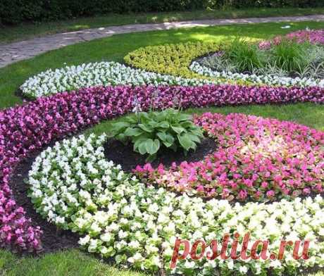 Клумба непрерывного цветения: круглогодичное украшение сада