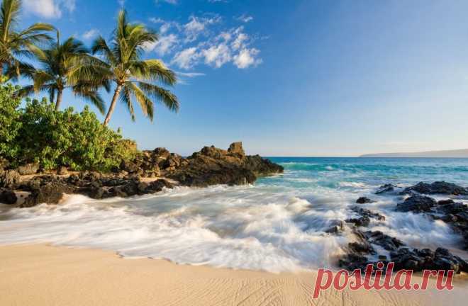Разбираем тему: Почему на Гавайях запрещено использование солнцезащитных кремов? | VestiNewsRF.Ru