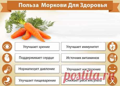 Польза моркови для здоровья

Эксперты в области здравоохранения считают морковь одним из основных продуктов питания. Морковь наполнена питательными веществами, включая витамины A, C, K и B8, вместе с пантотеновой кислотой, фолатом, калием, железом, медью и марганцем. Народная медицина — рецепты, советы, способы, cекреты и народные средства.