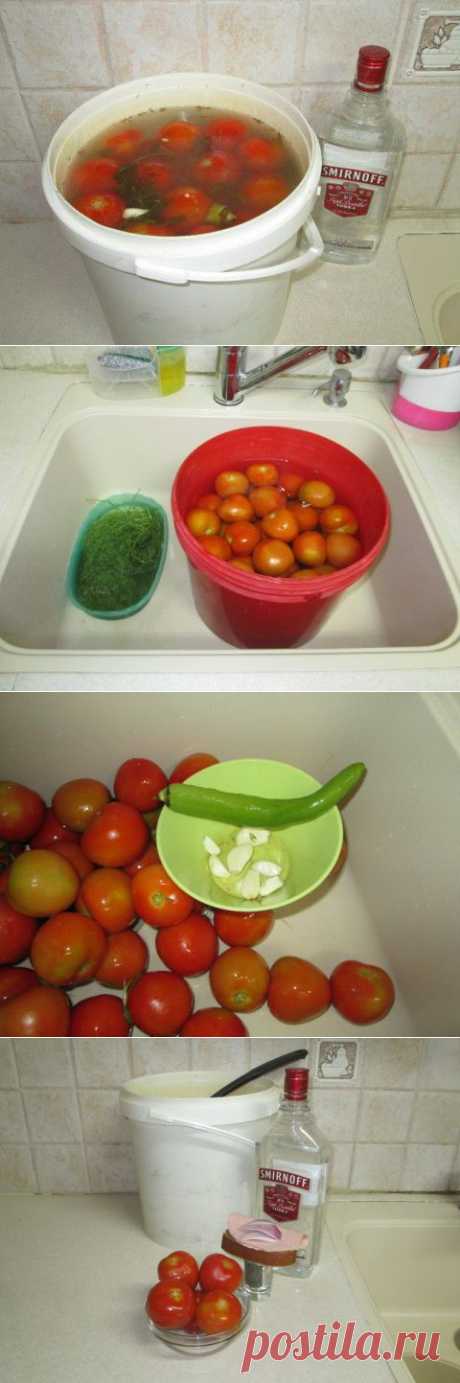 Солёные, квашенные помидоры, как из бочки, но без бочки, ускоренный домашний рецепт.‎ | Четыре вкуса