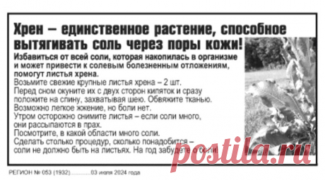 Хрен - единственное растение способное вытягивать соль через поры кожи