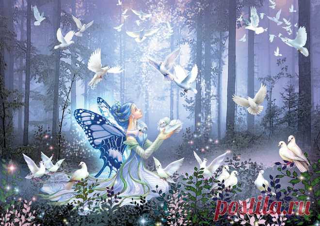 Fairy Queen by MGL Meiklejohn Graphics Licensing Fairy Queen Photograph by MGL Meiklejohn Graphics Licensing