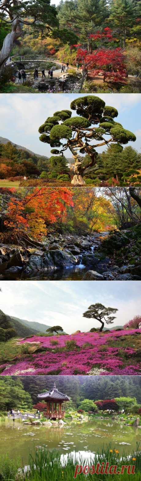 Keep calm по-корейски. Сад утреннего спокойствия (или утренней свежести, как его еще называют) - уединенное место на горе Йонджу в одноименном городе провинции Кёнсан-Пукто, которая находится на востоке Южной Кореи.
Тысячи видов цветов, сосны, незабываемый аромат, витающий в воздухе, привлекают сюда корейские семьи и влюбленные парочки.