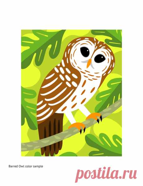 DOWNLOAD ONLY PDF/ Barred Owl picture/ Punch Needle | Etsy