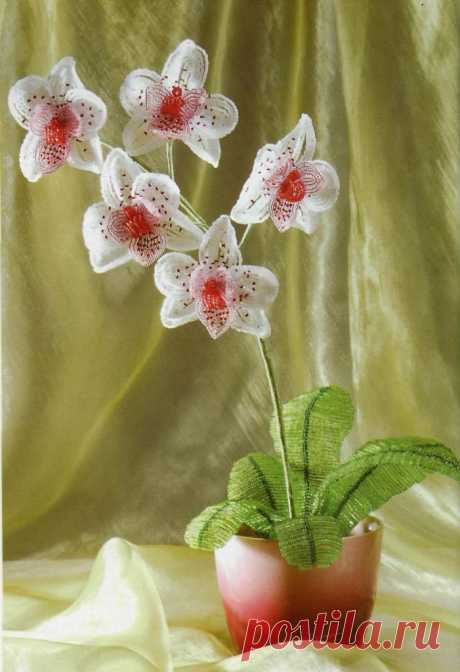Орхидея "Фаленопсис" белая и зеленая Цветы из бисера – Бисерок