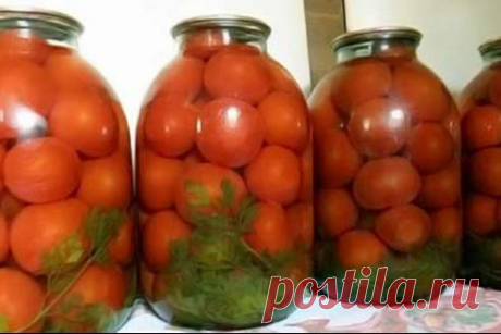 Необыкновенно очень вкусные помидоры на зиму Помидоры улетали на ура,и рассол не пришлось выливать — его, просто-напросто, не оставалось. 