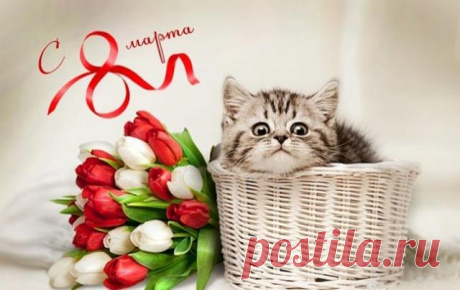 Красивые открытки С 8 марта! (39 фото) 🔥 Прикольные картинки и юмор