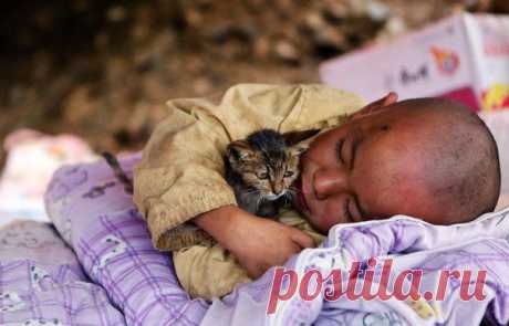 Ребёнок спит в приюте, обнимая котёнка, после землетрясения в Чжаотуне, Юньнань, Китай, 5 августа 2014 года.