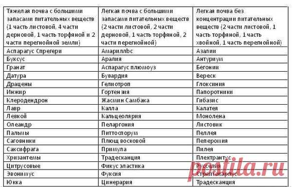 Какую почву для какого растения выбрать
Указатель по алфавиту

Обычно при покупке растения или при поиске информации о нем в сети Интернет мы легко можем узнать о тех почвах, которые предпочтительно использовать при его выращивании.
Но как было бы великолепно найти в одном месте всю нужную информацию.
Показать полностью…