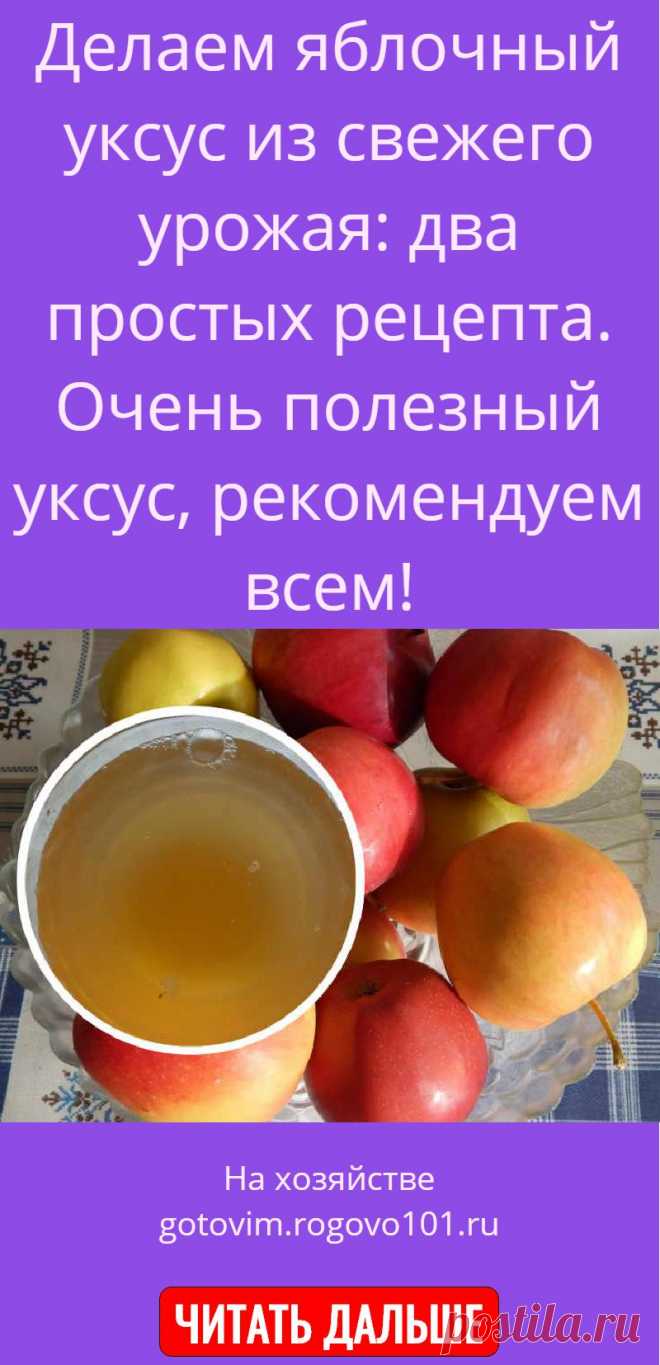 Делаем яблочный уксус из свежего урожая: два простых рецепта. Очень по ...