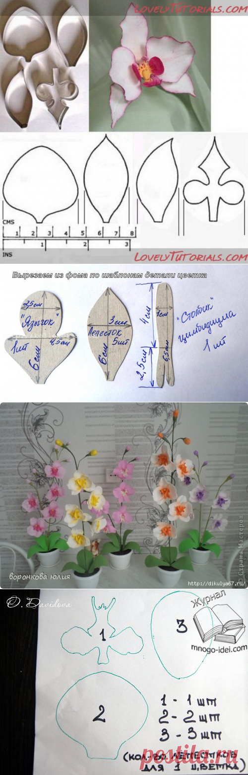 Цветы из фоамирана для начинающих пошагово с фото схемы с шаблонами