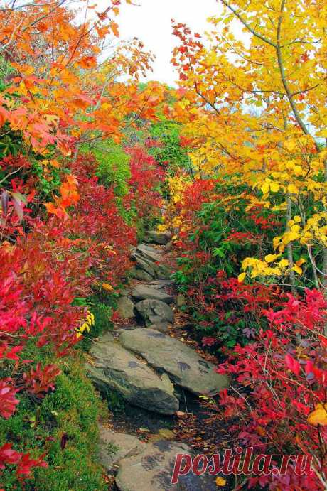 autumn - Hiking trail in the Blue Ridge Mountains of North Carolina near Asheville | Romantic Asheville