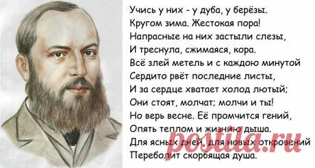 Стихотворение Афанасия Фета, которое может помочь вам, если стало тяжело на душе | Игра в Блог | Дзен