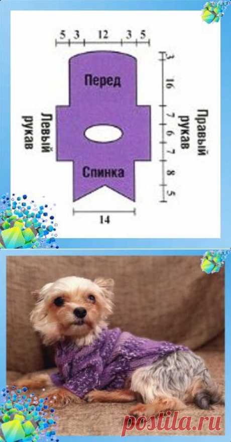 Вязанный свитер для собаки фиолетового цвета