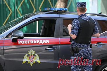 Двух сотрудников Росгвардии из Челябинска задержали за превышение полномочий