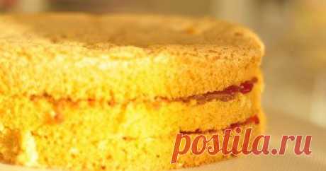 Рецепты для похудения. Бисквитный пирог - рецепт без жира | Диетическое питание