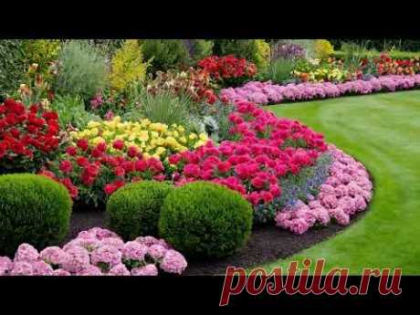 A few additional tips for creating a beautiful flower bed. Посадіть свої квіти.