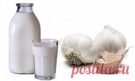 Молоко с чесноком от давления: средство, подтвержденное на опыте | dublog.ru | Яндекс Дзен